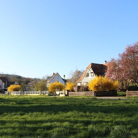 Romantik-Home Nordelsass - Ferienwohnung Fuer Selbstversorger Oberhoffen-les-Wissembourg 외부 사진