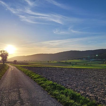 Romantik-Home Nordelsass - Ferienwohnung Fuer Selbstversorger Oberhoffen-les-Wissembourg 외부 사진