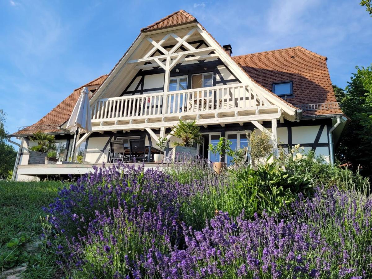 Romantik-Home Nordelsass - Ferienwohnung Fuer Selbstversorger Oberhoffen-les-Wissembourg 외부 사진