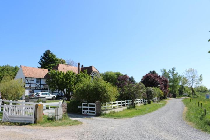 Romantik-Home Nordelsass - Ferienwohnung Fuer Selbstversorger Oberhoffen-les-Wissembourg 외부 사진