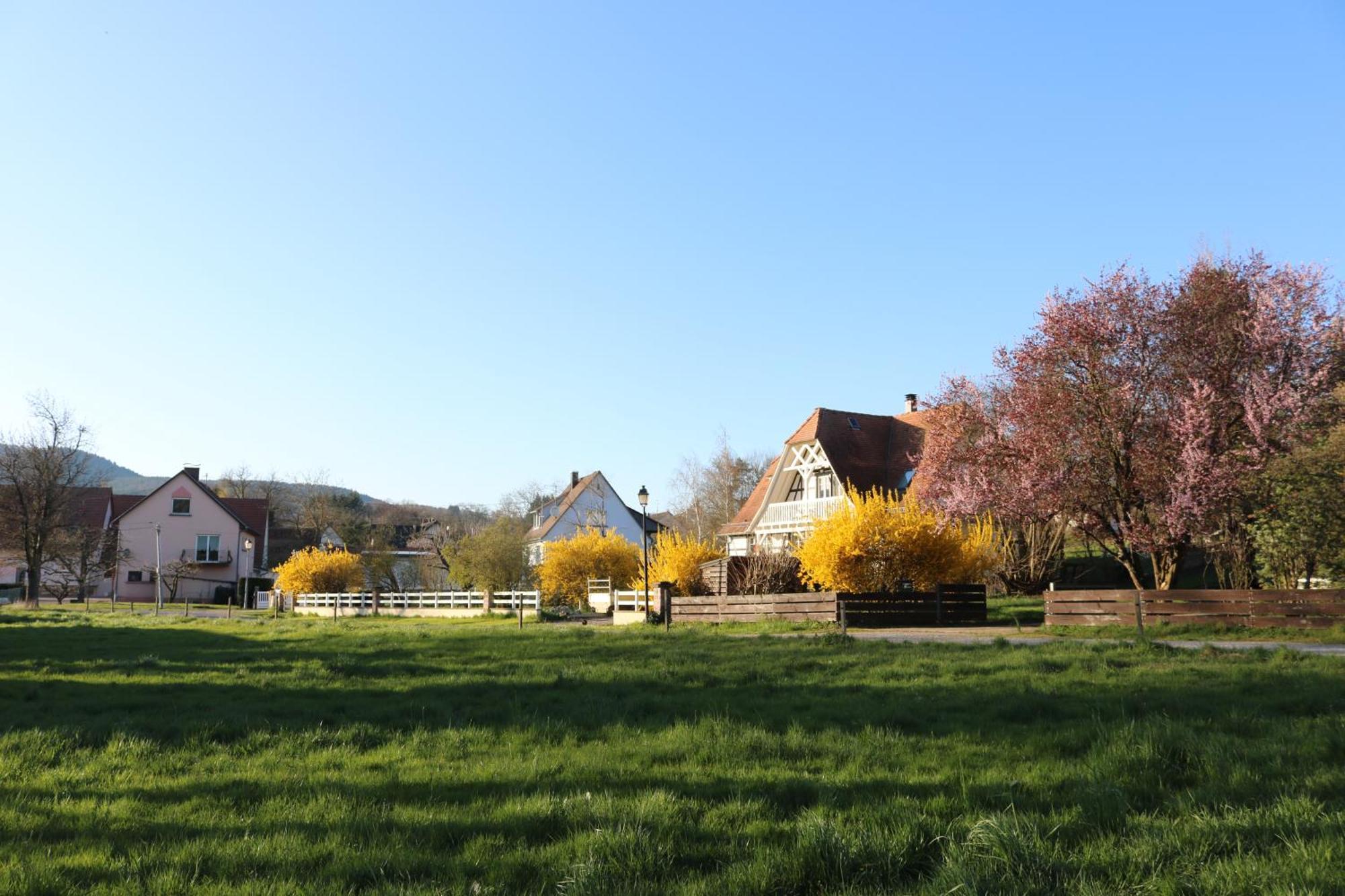 Romantik-Home Nordelsass - Ferienwohnung Fuer Selbstversorger Oberhoffen-les-Wissembourg 외부 사진