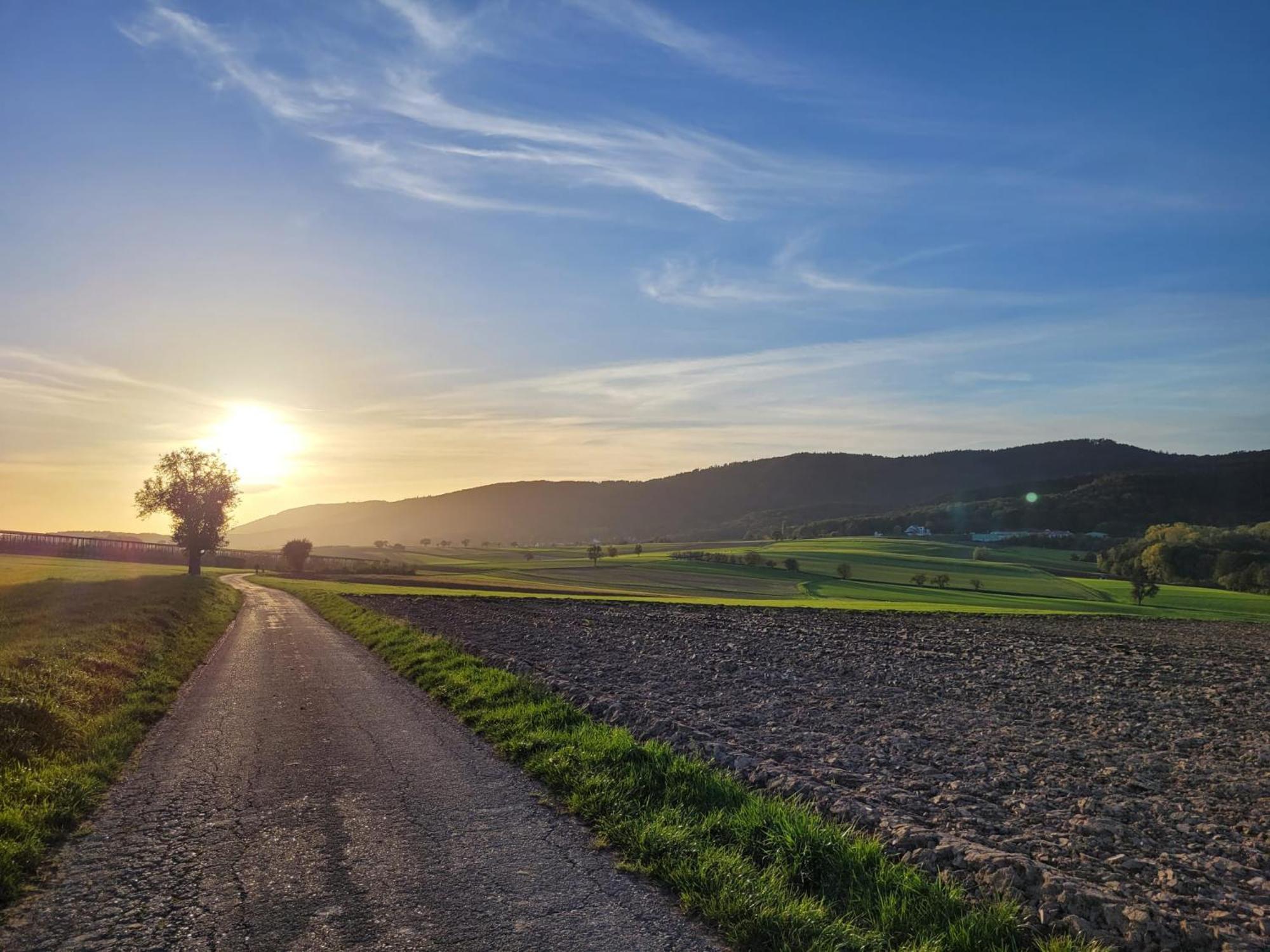 Romantik-Home Nordelsass - Ferienwohnung Fuer Selbstversorger Oberhoffen-les-Wissembourg 외부 사진